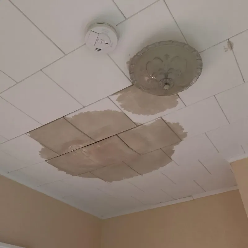 Ceiling Water Damage Repair in Palmetto Estates, FL